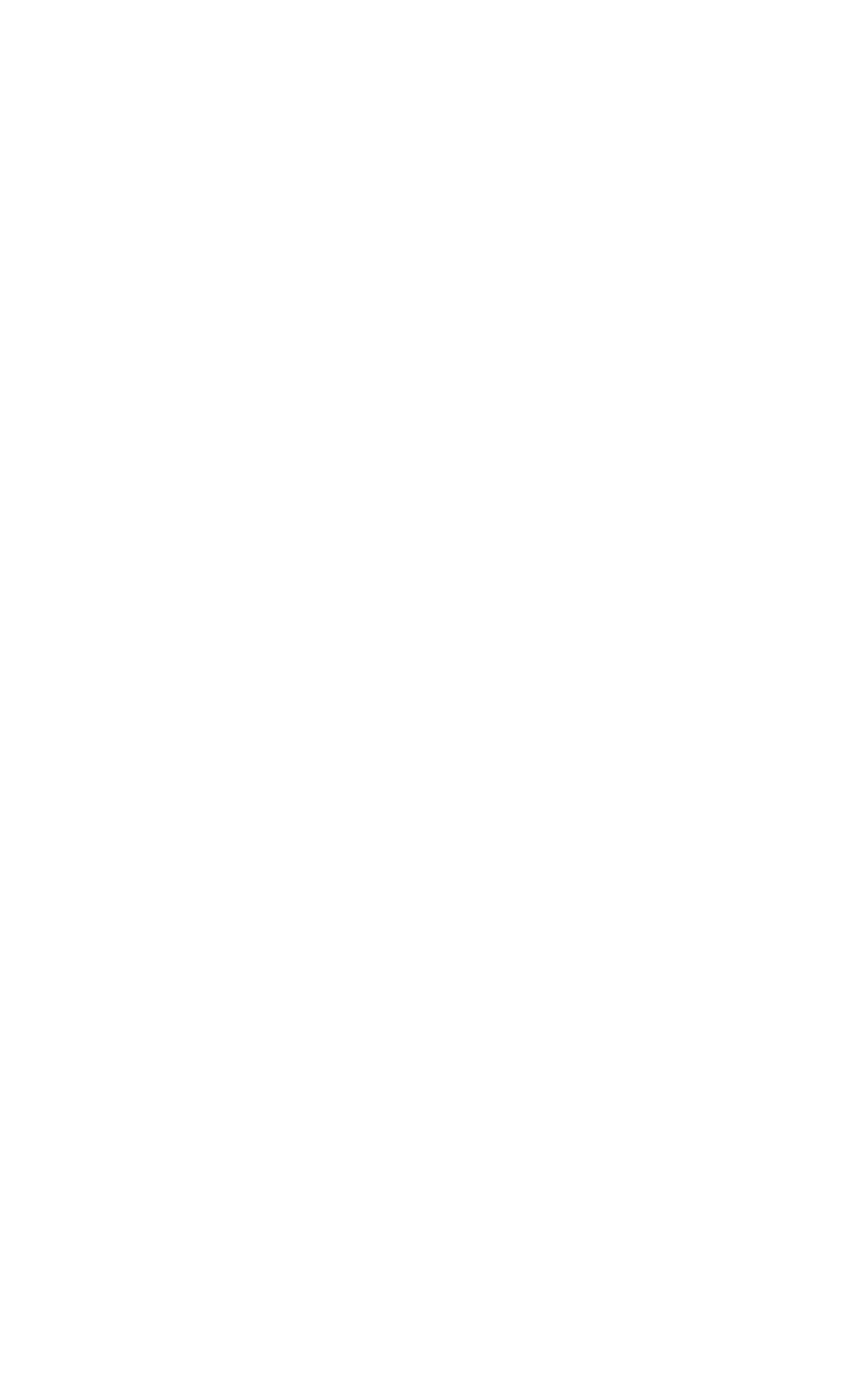 The Brovanture team delivered and have provided excellent support both during and after the project  Choosing them wa   